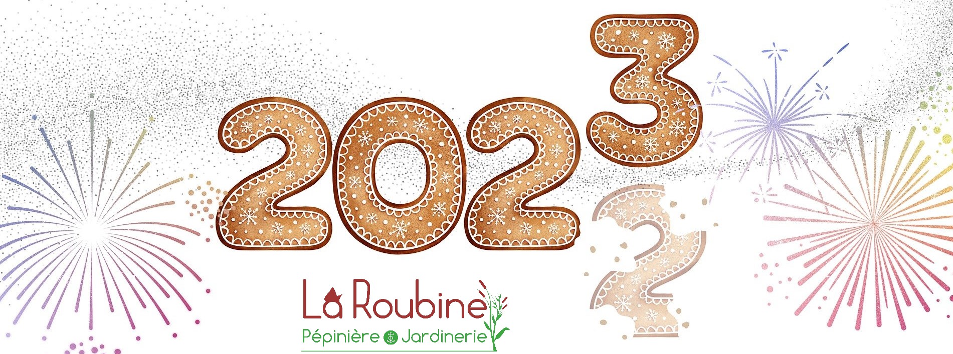 Plantes et fleurs en jardinerie 2023
