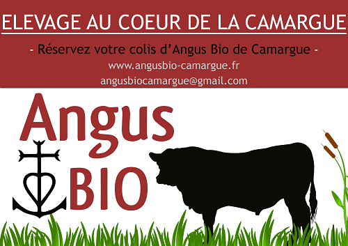 Commande de la viande d'angus bio