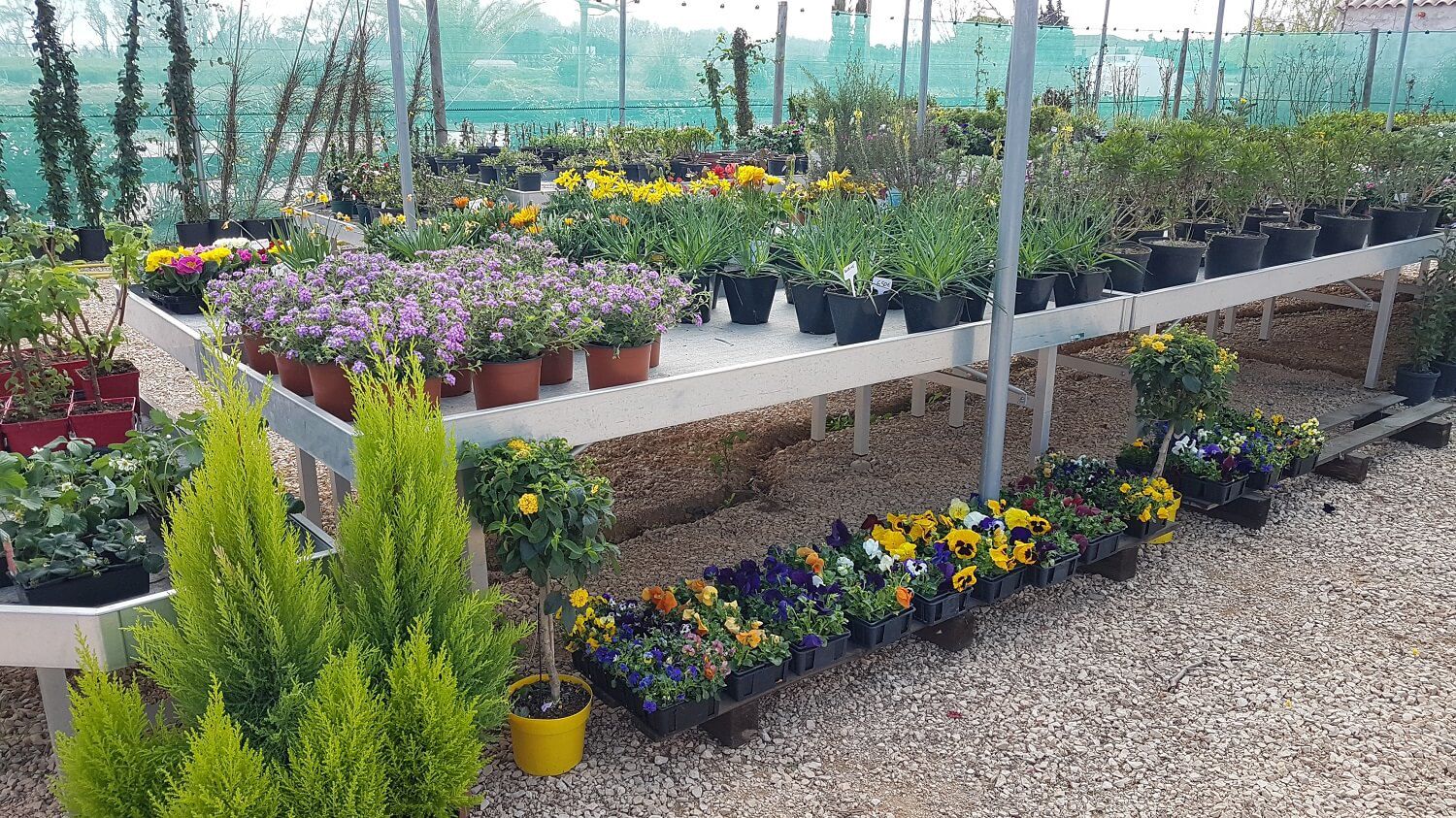 La Roubine, jardinerie avec des fleurs